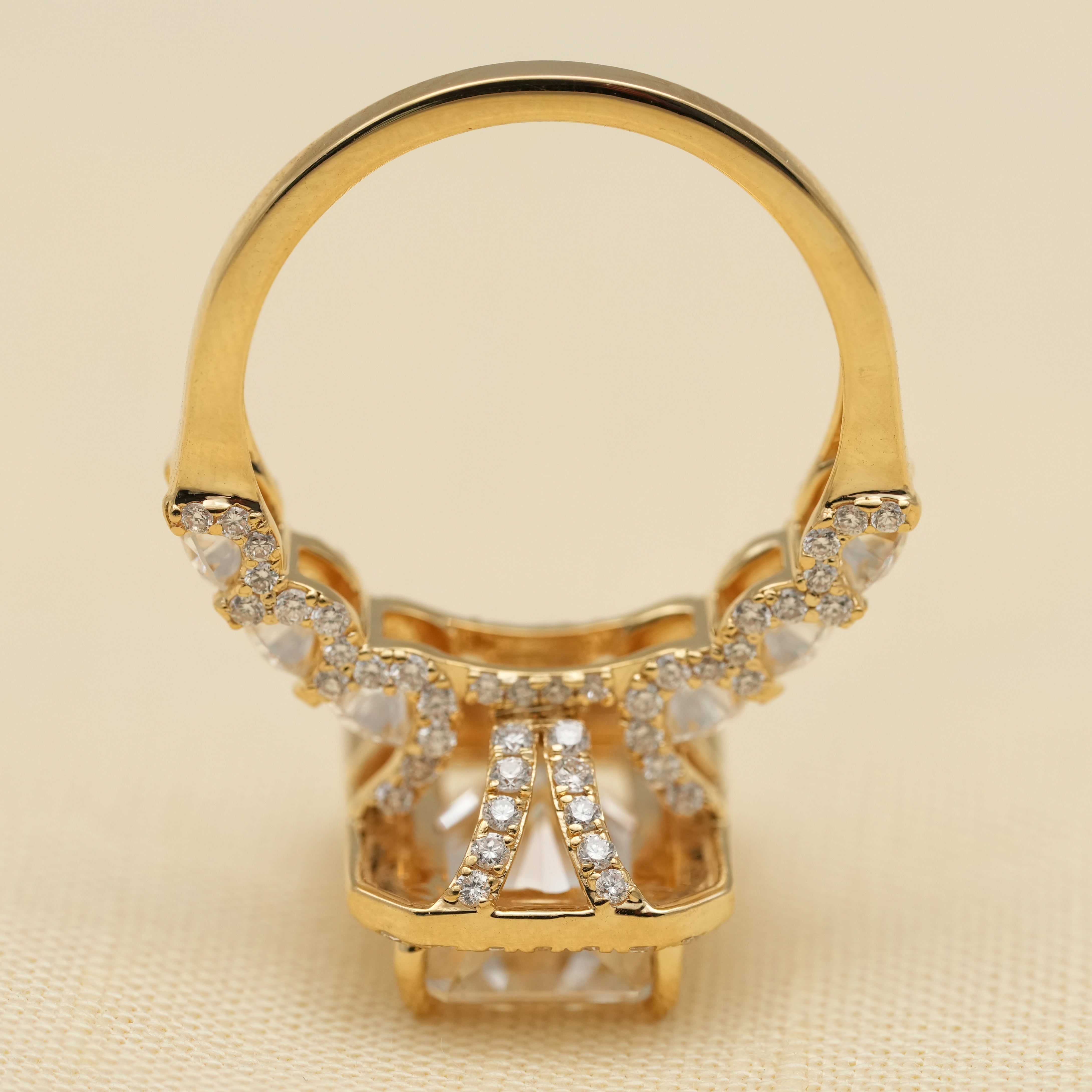 Radiant Cut Lab Diamond Halo Ring with Accent Diamond Band