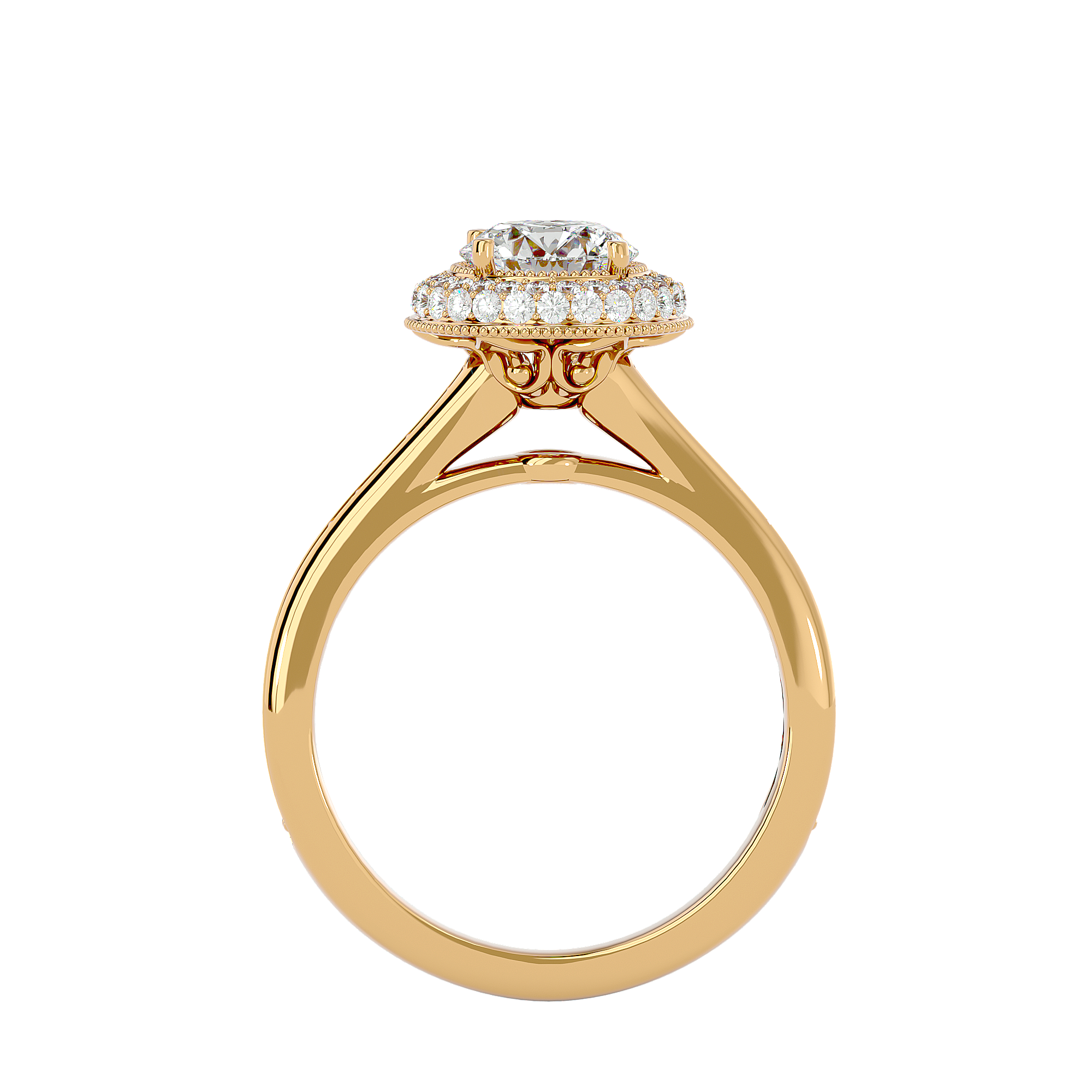 Round Lab Grown Diamond Double Halo Engagement Ring